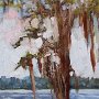 Cypress, Hampton Lake - Oil on wood 7 x 5 Copyright 2010 Tim Malles (452x640)
